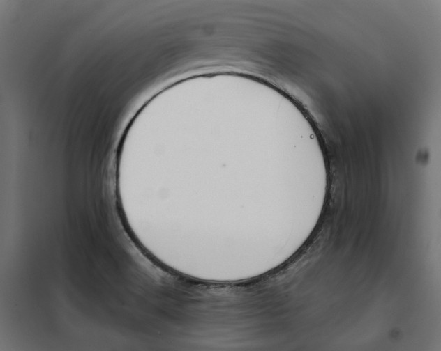 X0000101411516200807281013