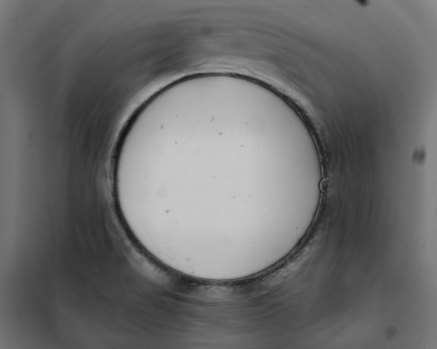 X0000101411517200807281013