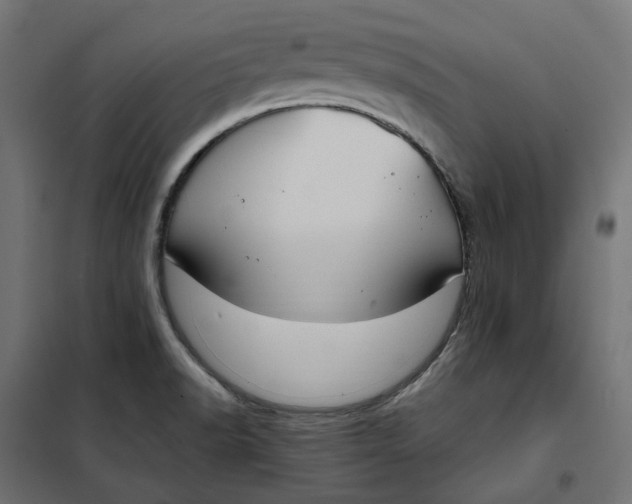 X0000101411518200807281013