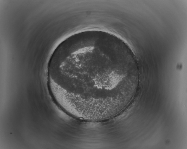 X0000101411519200807281013