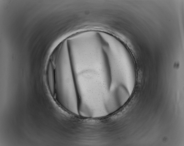 X0000101411520200807281013