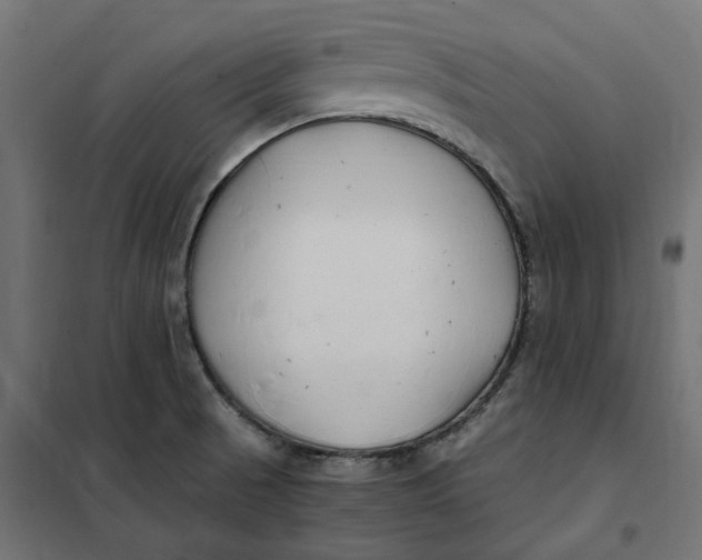 X0000101411521200807281013