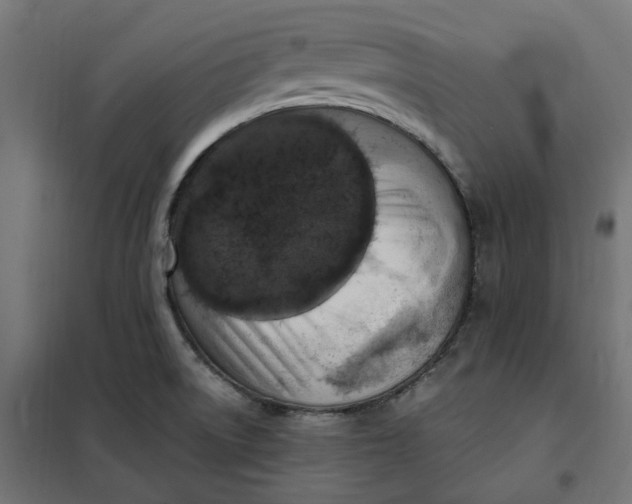 X0000101411522200807281014