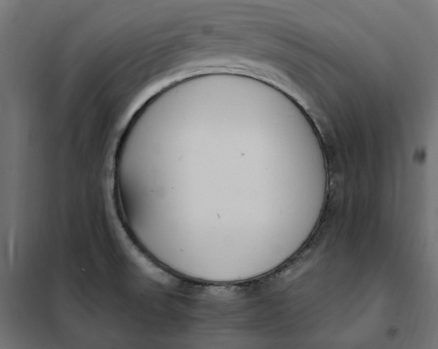 X0000101411523200807281014