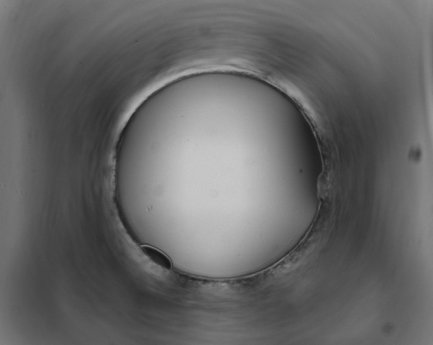 X0000101411524200807281014