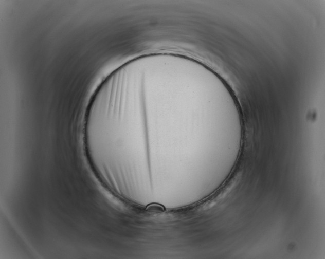 X0000101411525200807281014