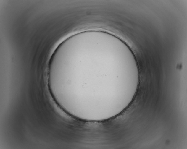 X0000101411526200807281014