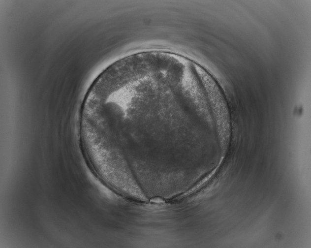 X0000101411527200807281014