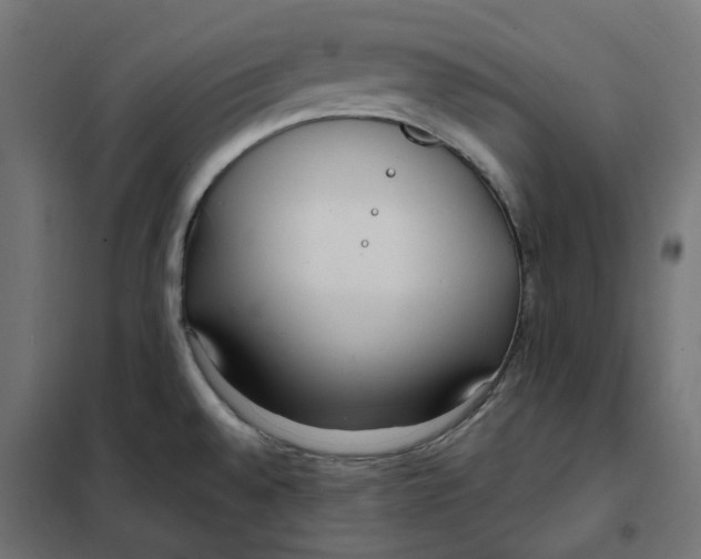 X0000101411528200807281014