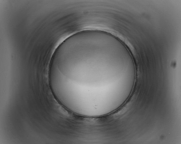 X0000101411529200807281014