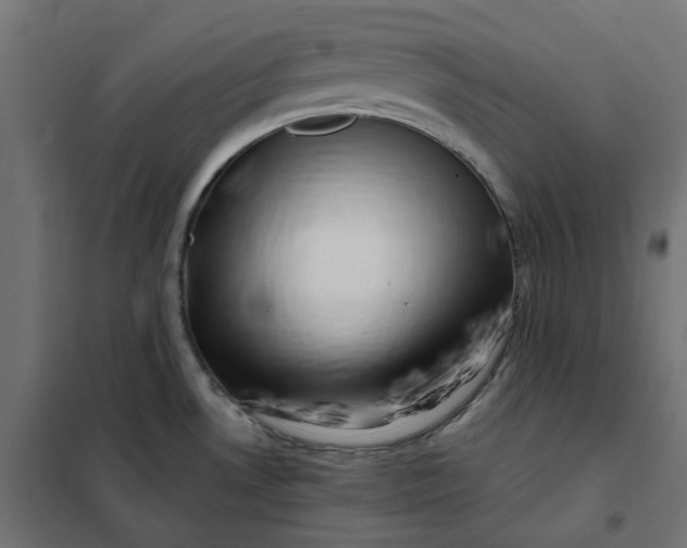 X0000101411530200807281014