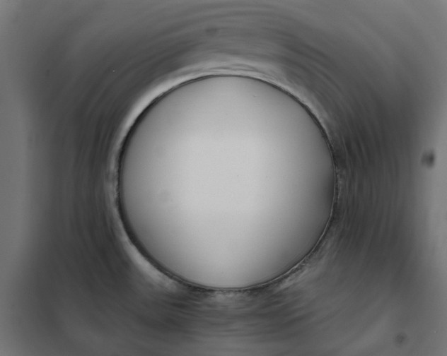 X0000101411531200807281014