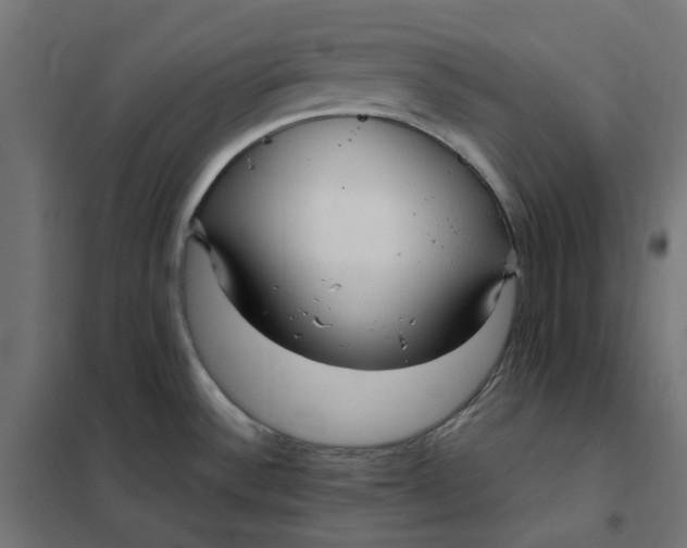 X0000101411532200807281014