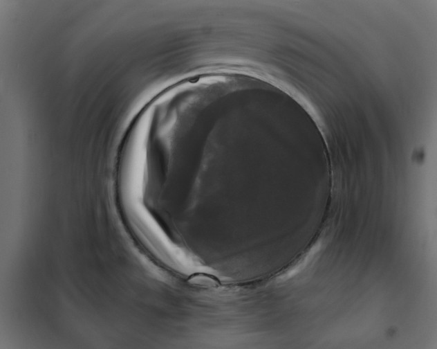 X0000101411533200807281014