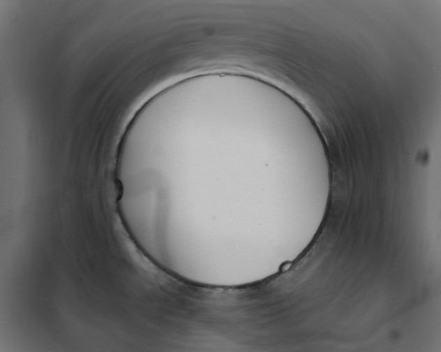 X0000101411534200807281014