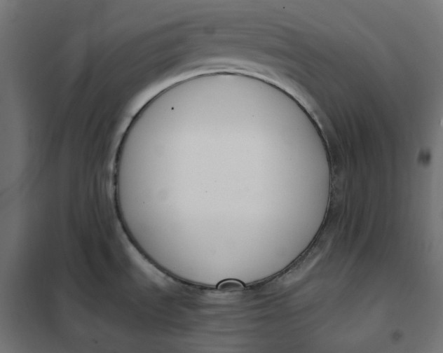 X0000101411535200807281014