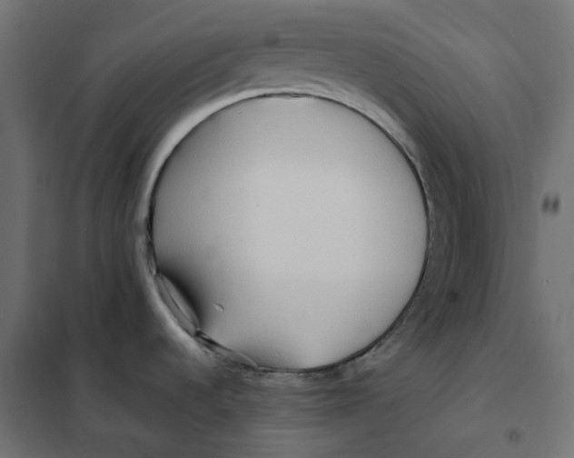 X0000101411536200807281014