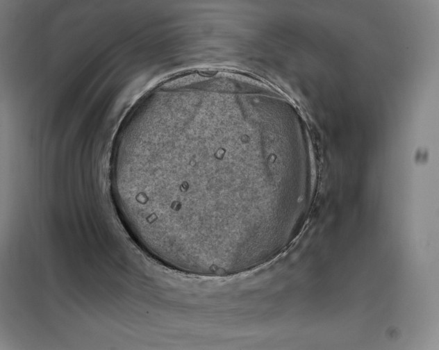 X0000101410002200808041115