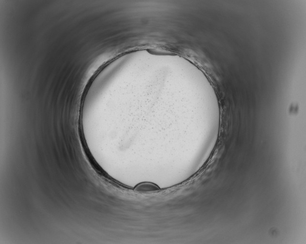X0000101410003200808041115