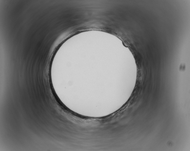 X0000101410004200808041115