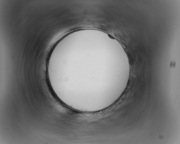 X0000101410005200808041115