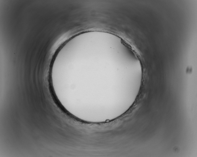 X0000101410007200808041115