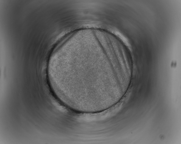 X0000101410009200808041115