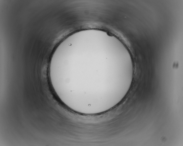 X0000101410010200808041115