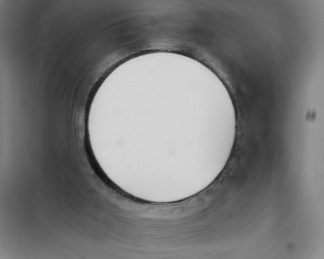 X0000101410011200808041115