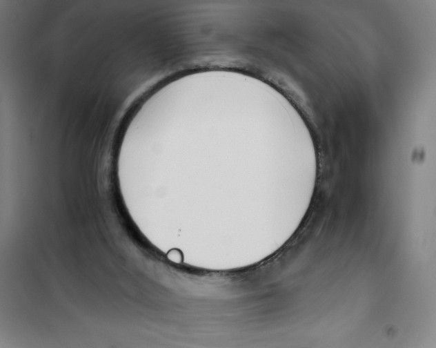 X0000101410012200808041115