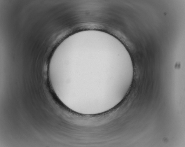 X0000101410014200808041115