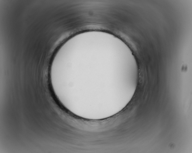 X0000101410015200808041115