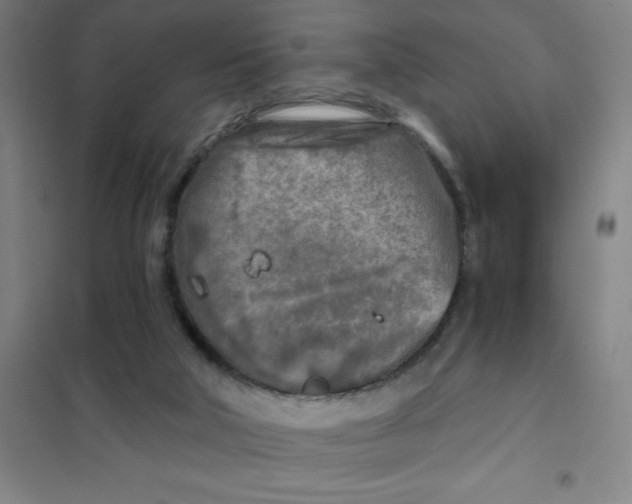X0000101410018200808041115