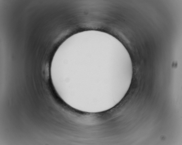 X0000101410020200808041115
