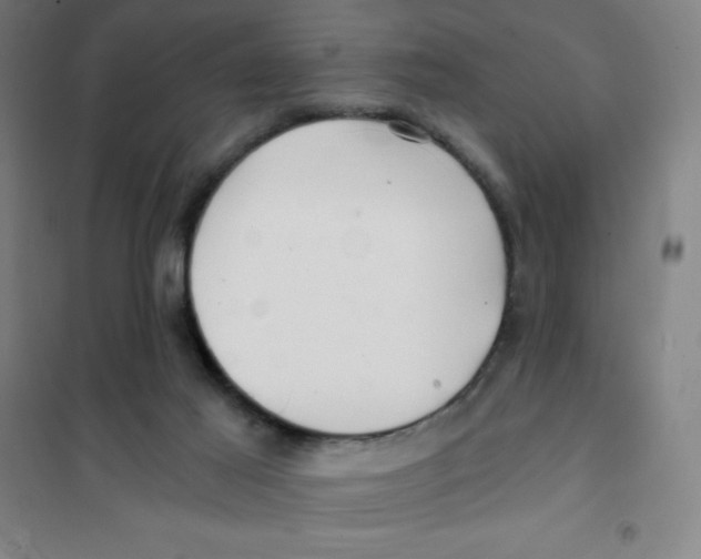 X0000101410021200808041115