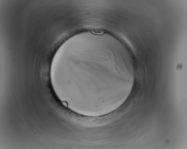 X0000101410023200808041115