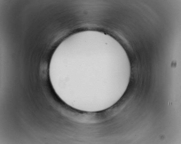 X0000101410024200808041115