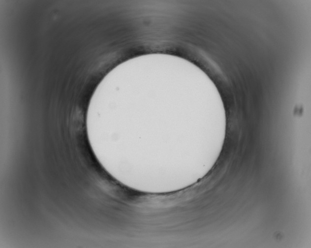 X0000101410025200808041115