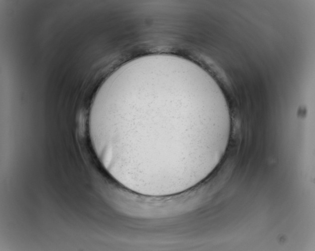 X0000101410026200808041115