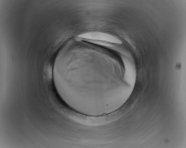 X0000101410027200808041115