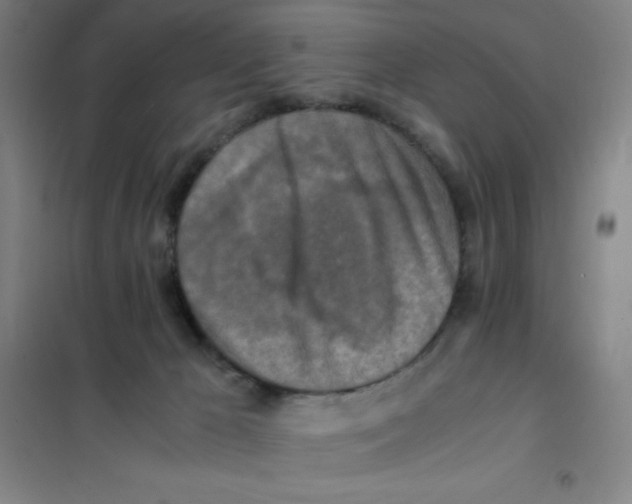 X0000101410029200808041115