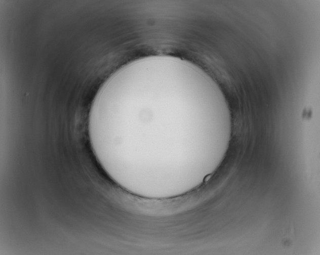 X0000101410030200808041115