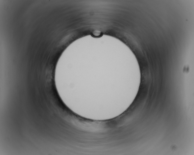 X0000101410032200808041115