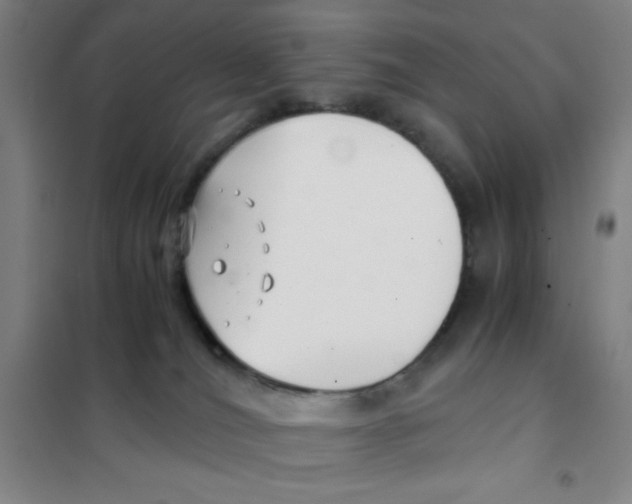 X0000101410036200808041115