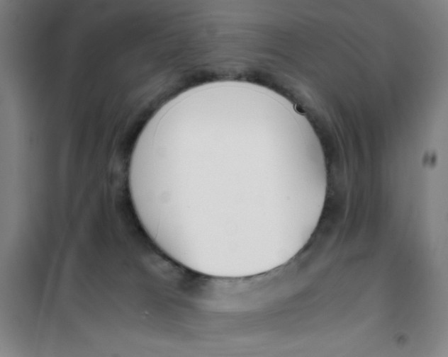 X0000101410037200808041115