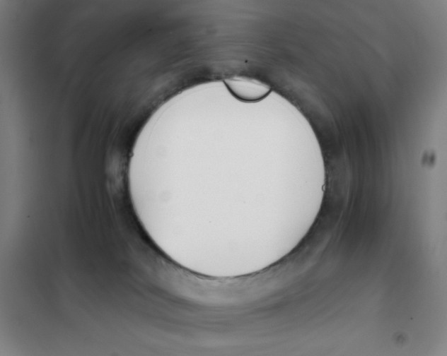 X0000101410038200808041115