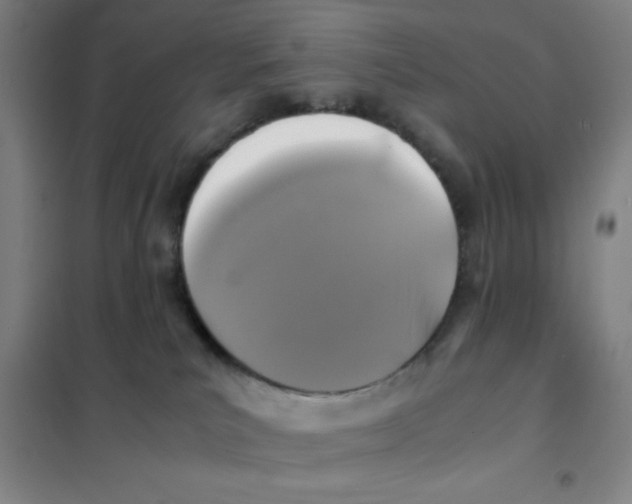 X0000101410039200808041115