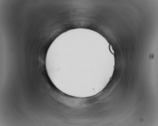 X0000101410040200808041115