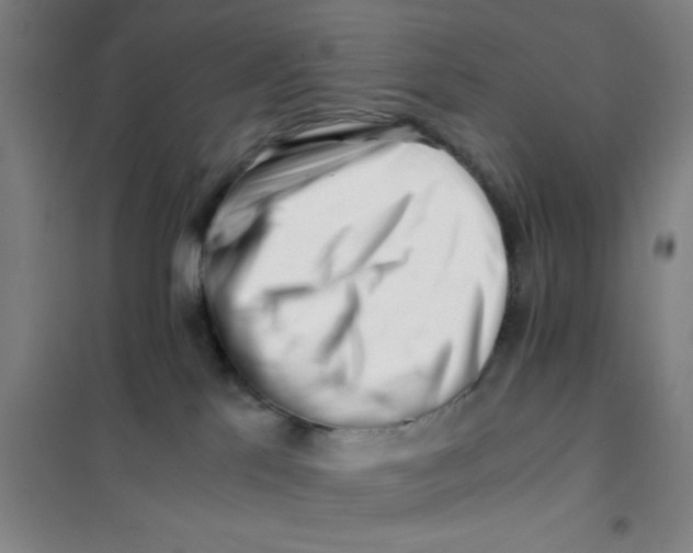 X0000101410041200808041115