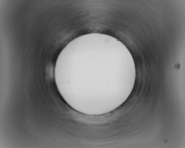 X0000101410042200808041115